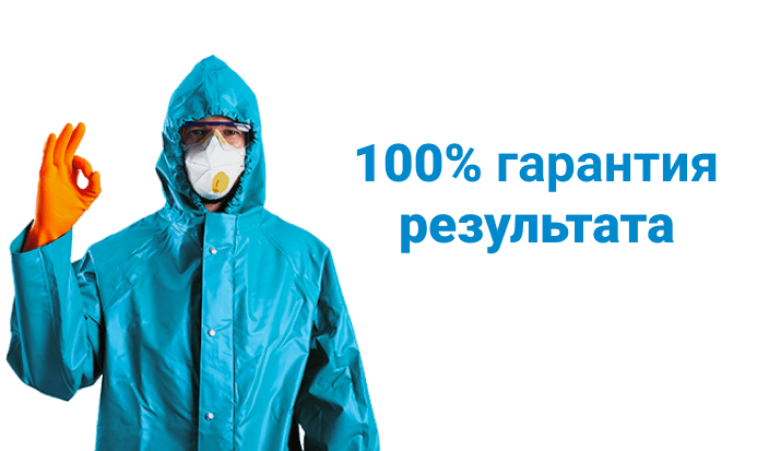 Гарантия 100%